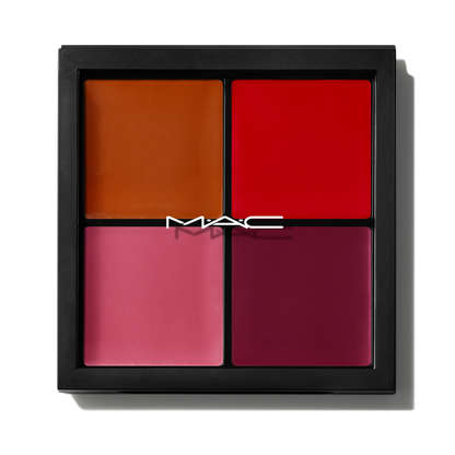 Pro Face Palette: Blush