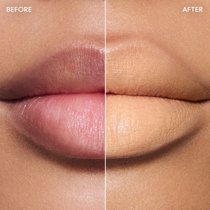 MAC Pro Lip Erase