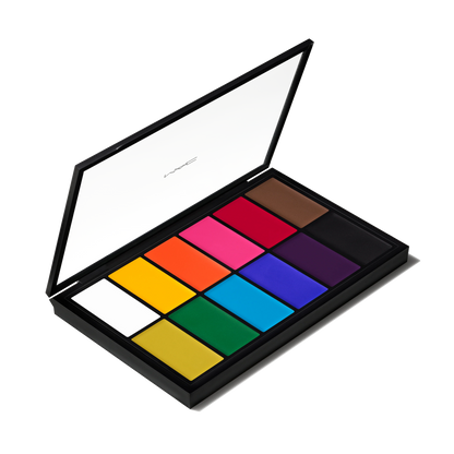 Pro Palette Paintstick x 12